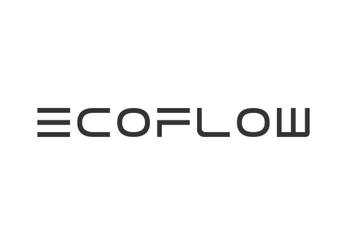 Eco Flow business logo
