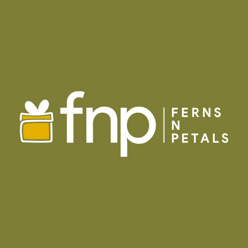 FNP business logo
